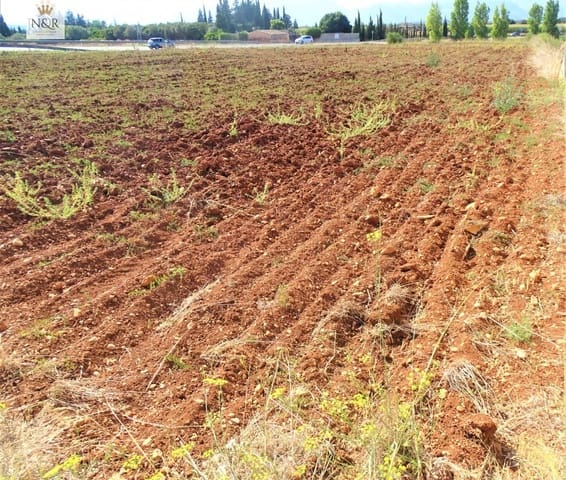 Ubebygd land til salgs i Llubí - € 35 000 (Ref: 9936803)