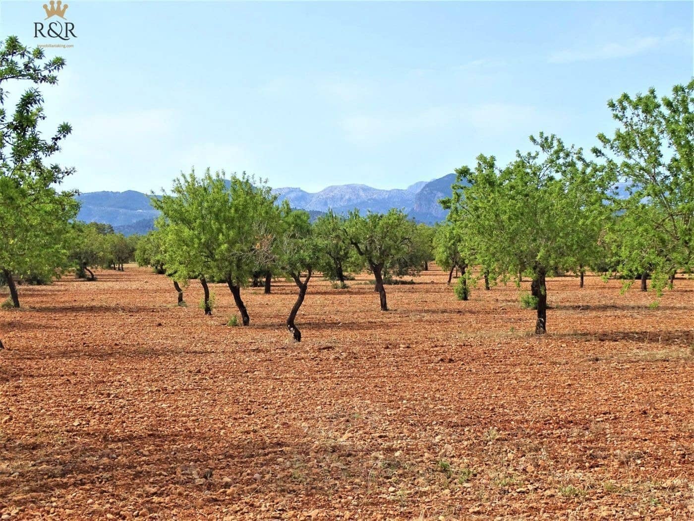 Undeveloped Land for sale in Binissalem - € 299,000 (Ref: 9936804)