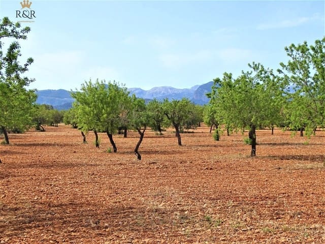 Mark till salu i Binissalem - 299 000 € (Ref: 9936804)