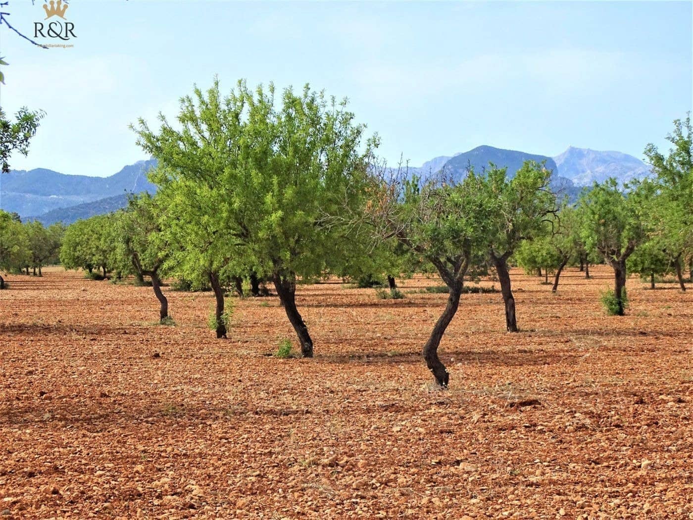 Undeveloped Land for sale in Binissalem - € 299,000 (Ref: 9936804)