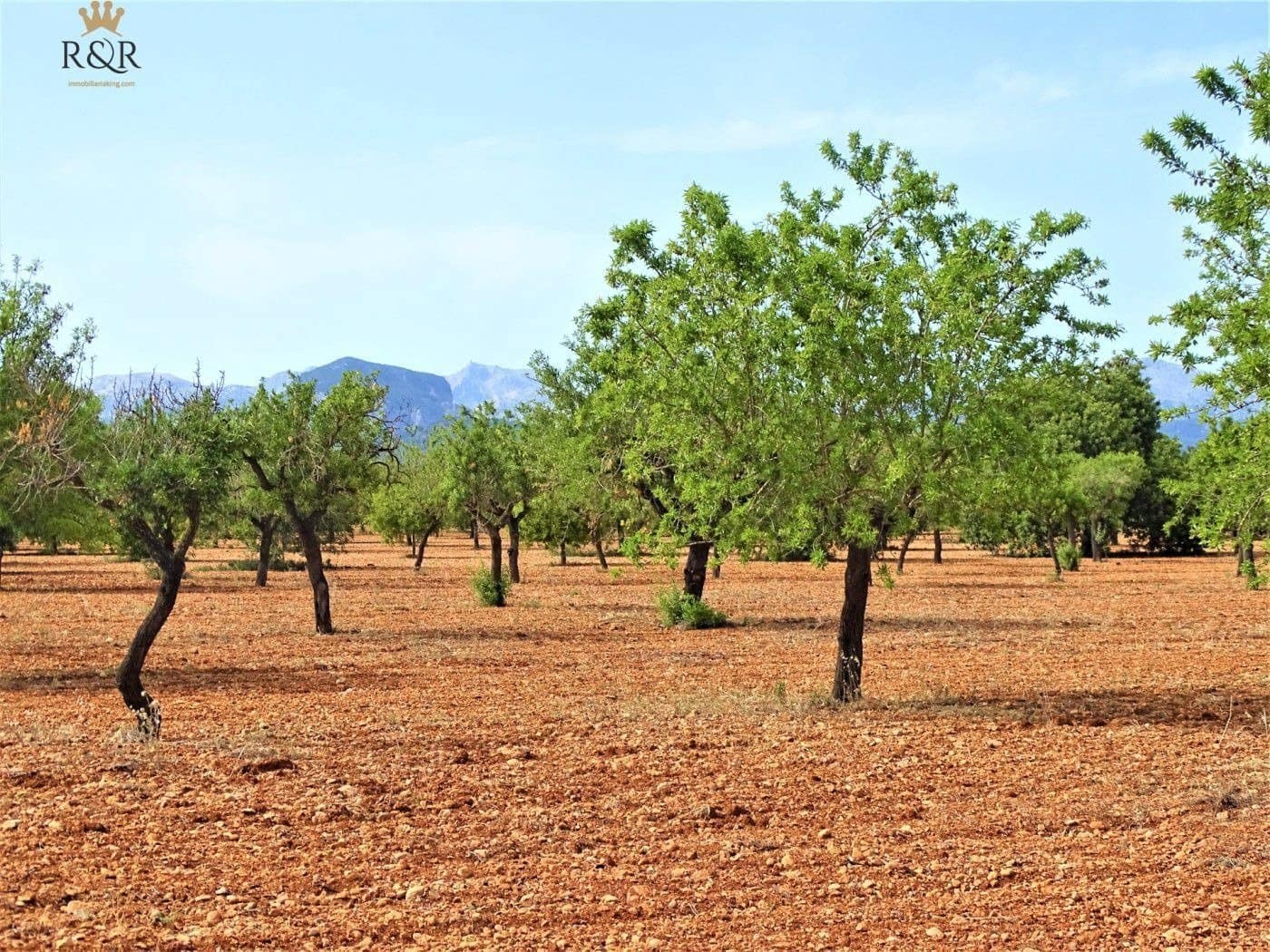Undeveloped Land for sale in Binissalem - € 299,000 (Ref: 9936804)