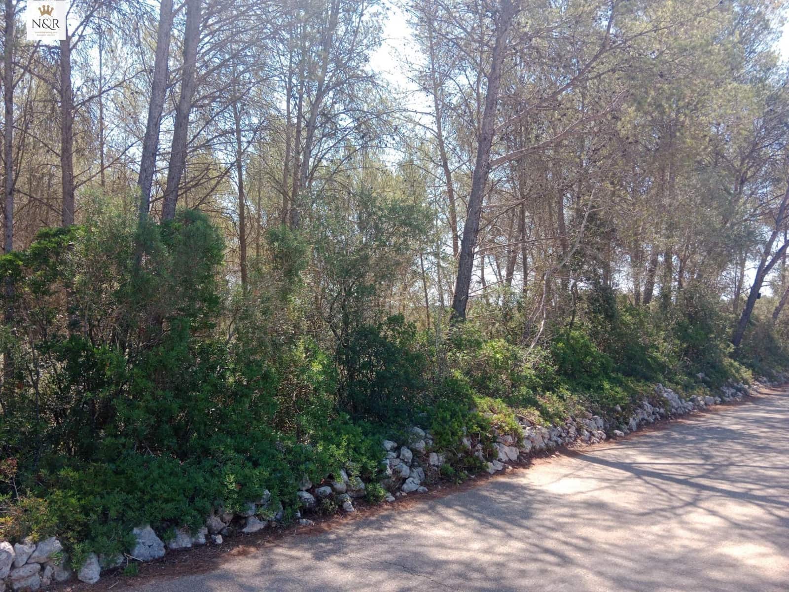Undeveloped Land for sale in Costitx - € 33,000 (Ref: 9963316)