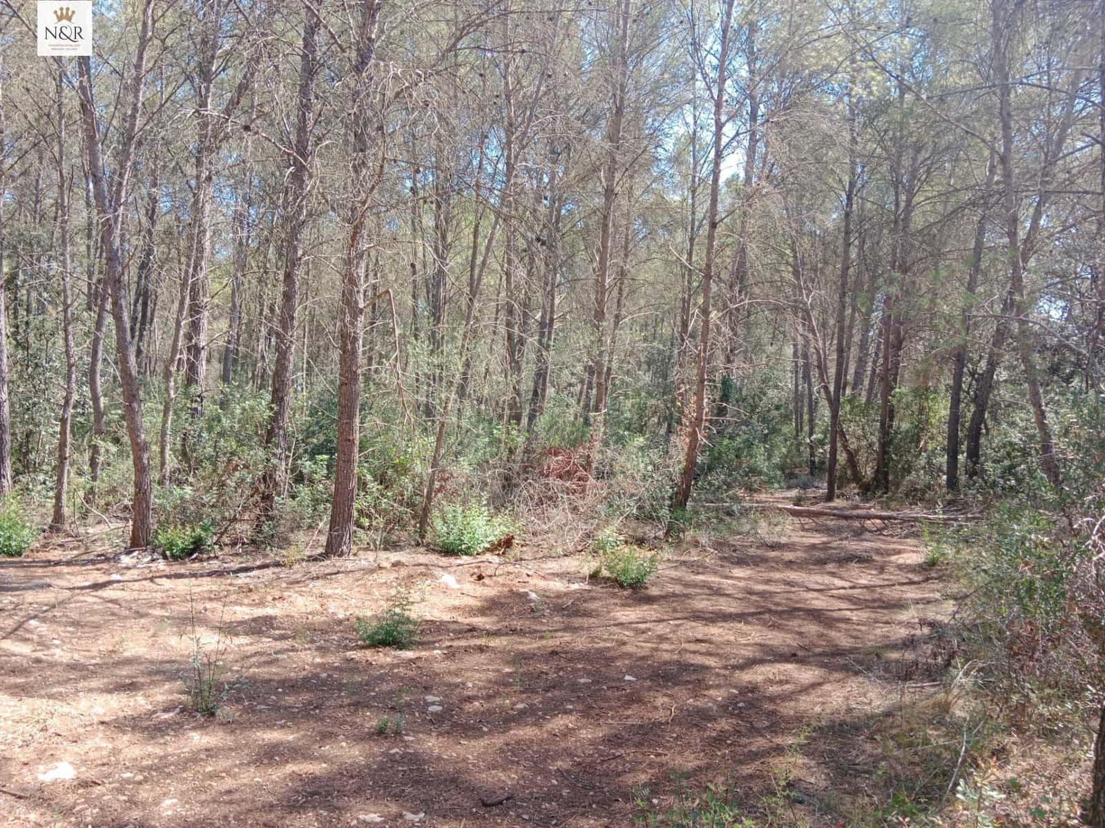 Undeveloped Land for sale in Costitx - € 33,000 (Ref: 9963316)