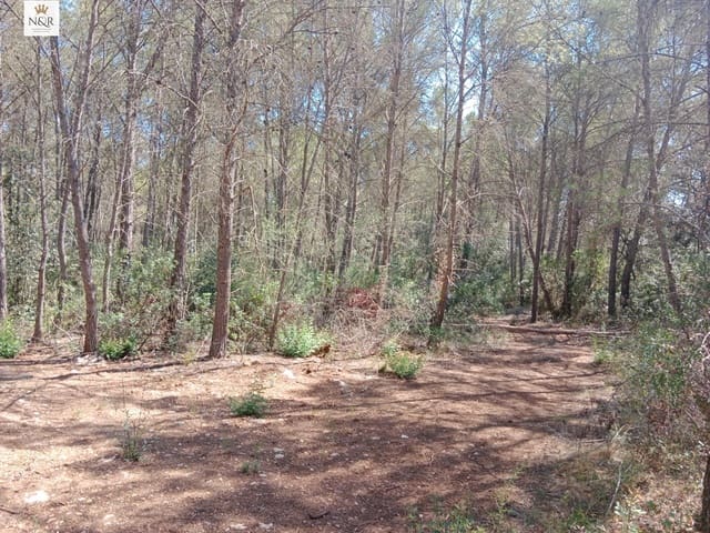 Landgrundstück zu verkaufen in Costitx - 33.000 € (Ref: 9963316)