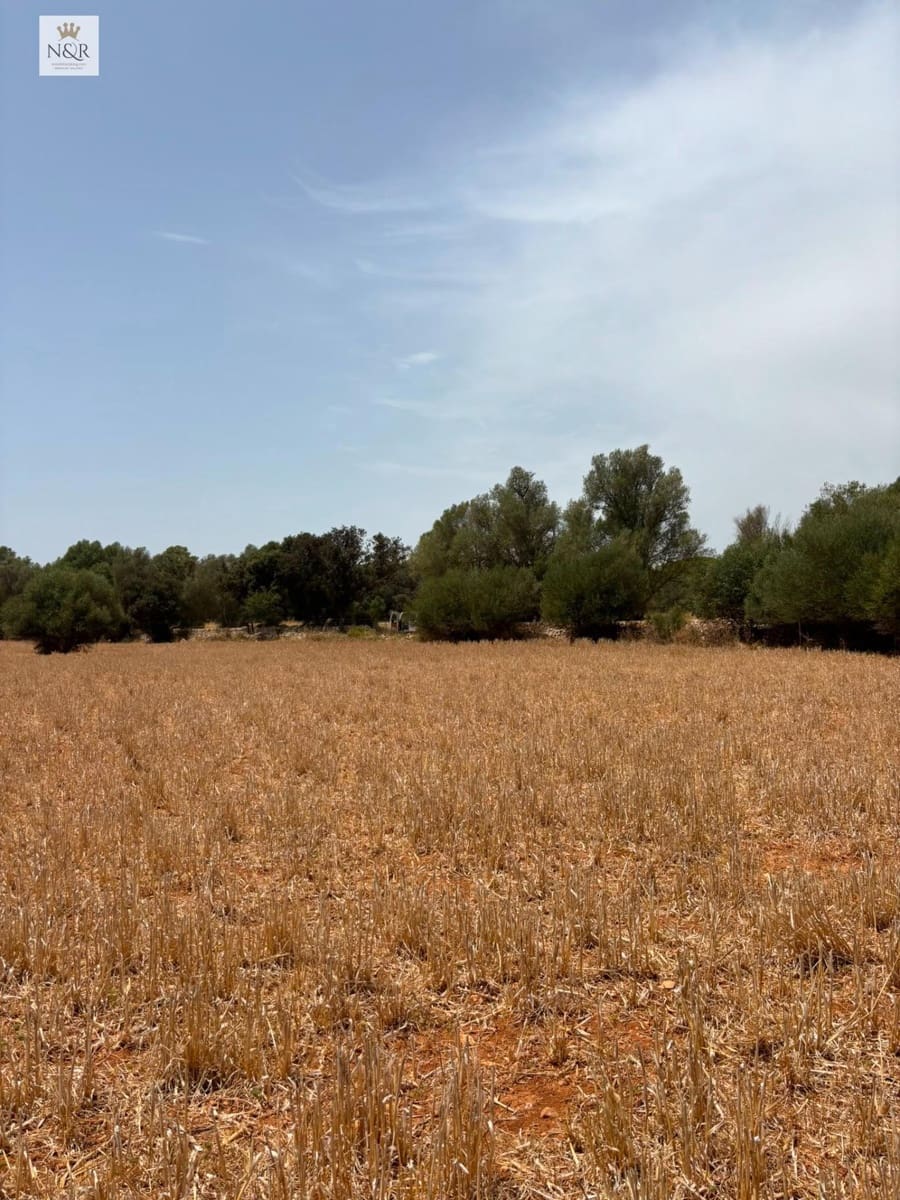 Finca/Casa di Campagna in vendita in Sencelles - 350.000 € (Rif: 9970772)