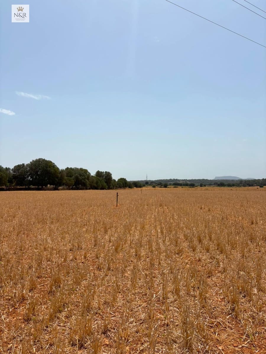 Finca/Casa di Campagna in vendita in Sencelles - 350.000 € (Rif: 9970772)