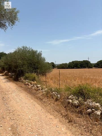 Finca/Herregård til salgs i Sencelles - € 350 000 (Ref: 9970772)