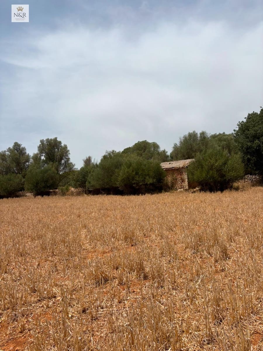 Finca/Casa di Campagna in vendita in Sencelles - 350.000 € (Rif: 9970772)