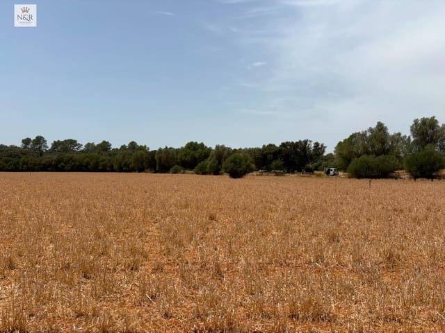 Finca/Herregård til salgs i Sencelles - € 350 000 (Ref: 9970772)