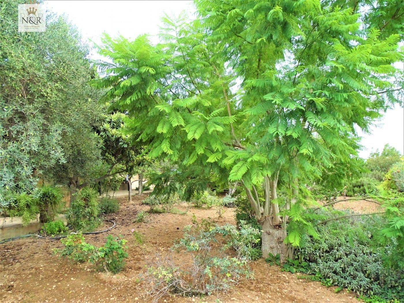 4 slaapkamer Finca/Landhuis te koop in Inca met zwembad - € 920.000 (Ref: 9999696)