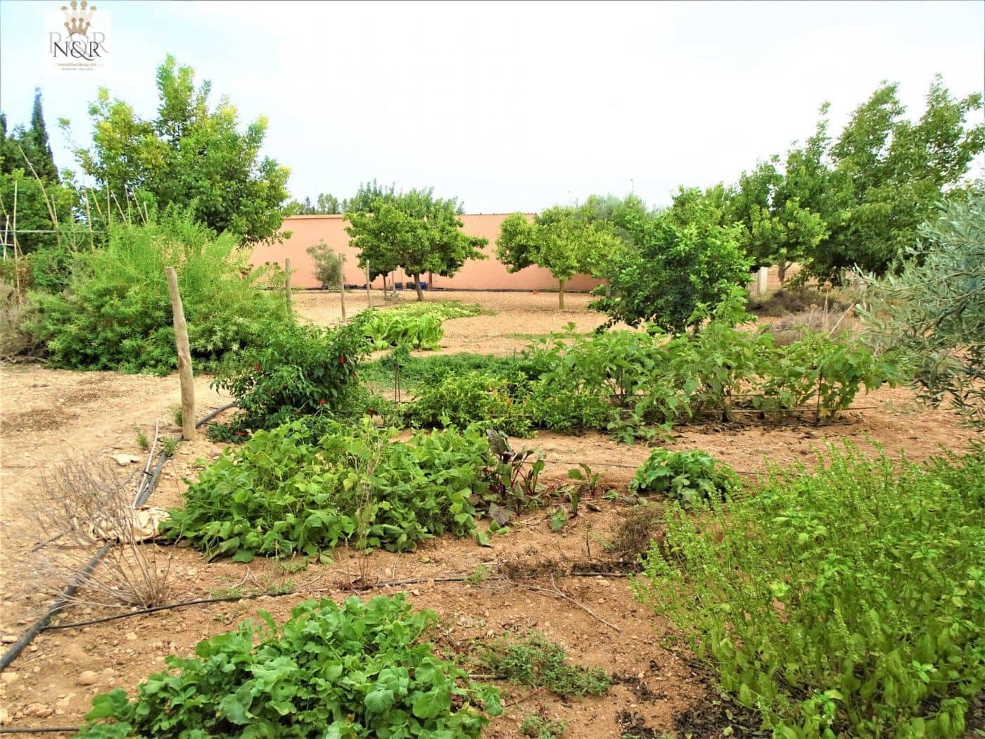 4 slaapkamer Finca/Landhuis te koop in Inca met zwembad - € 920.000 (Ref: 9999696)