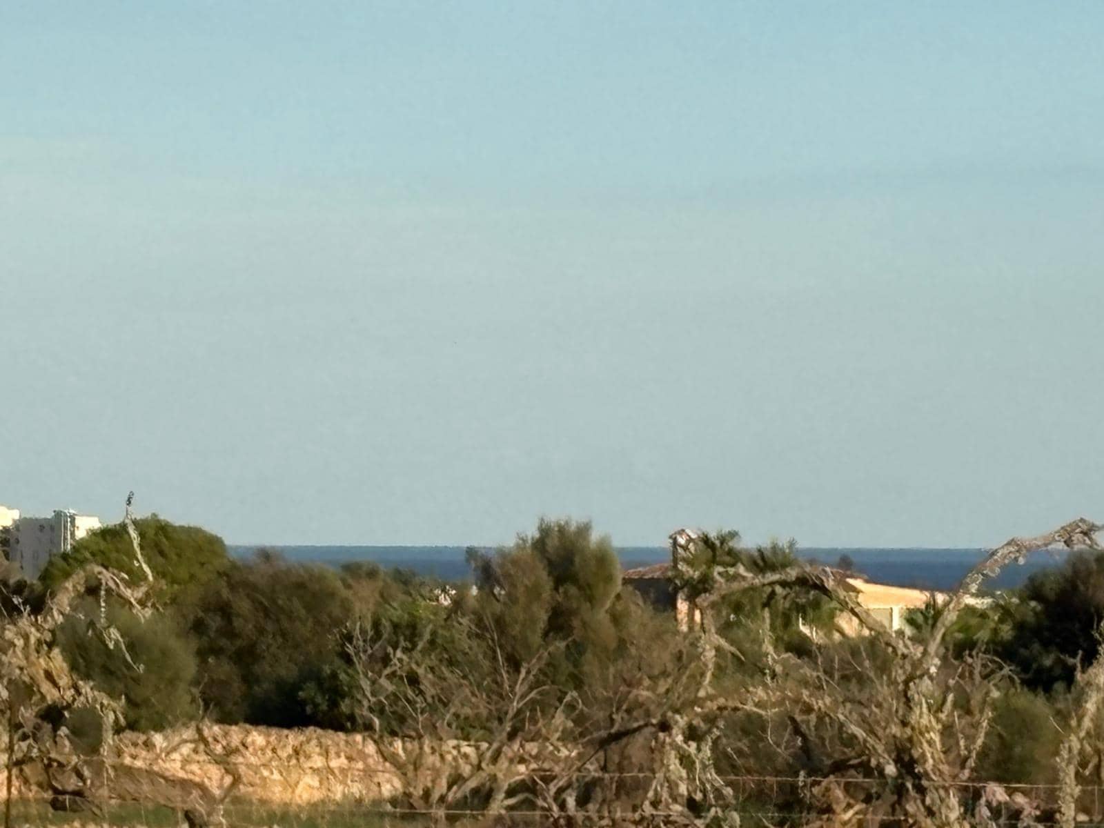 Mark till salu i Sant Llorenc des Cardassar - 875 000 € (Ref: 10013402)