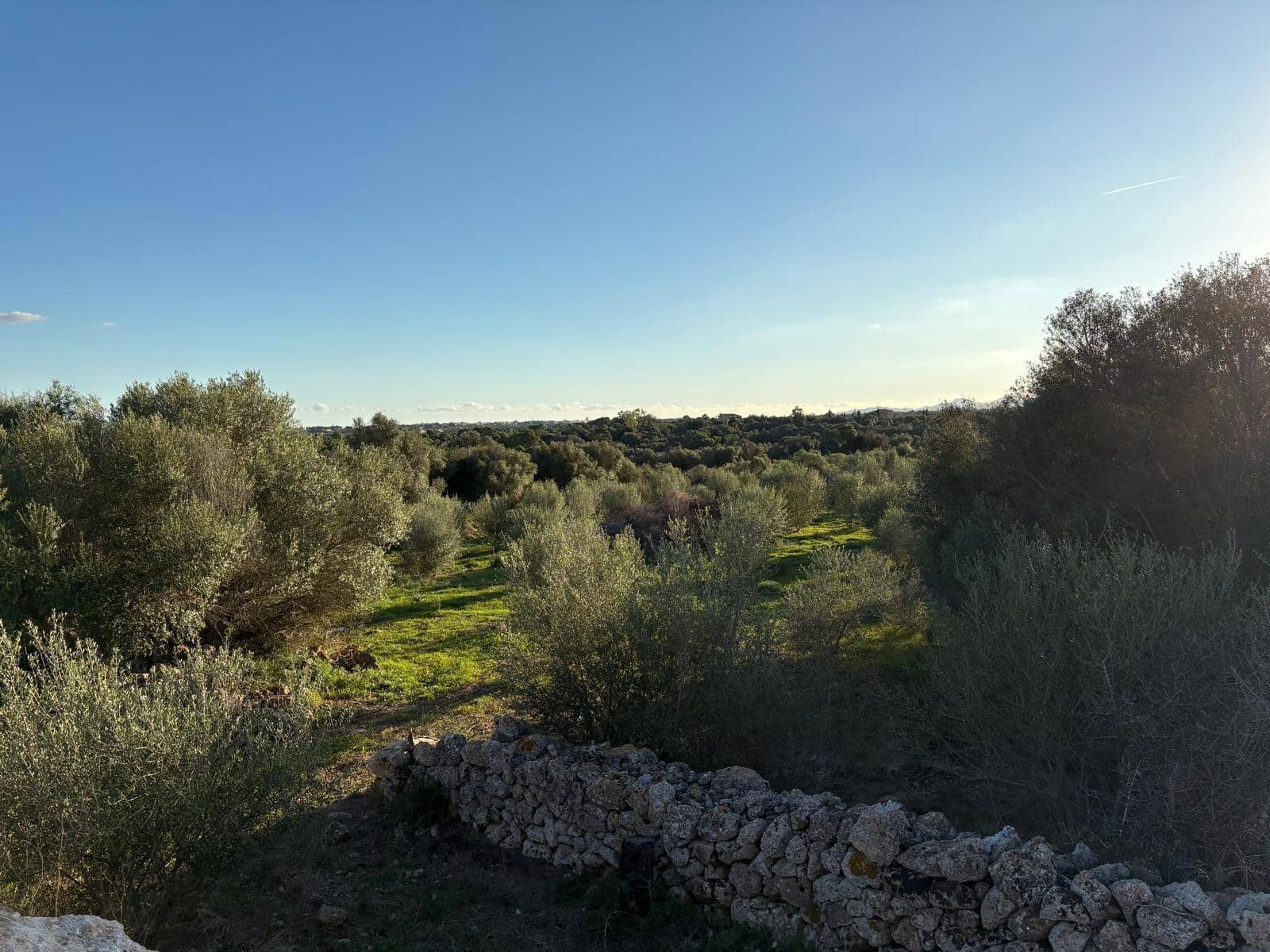 Mark till salu i Sant Llorenc des Cardassar - 875 000 € (Ref: 10013402)