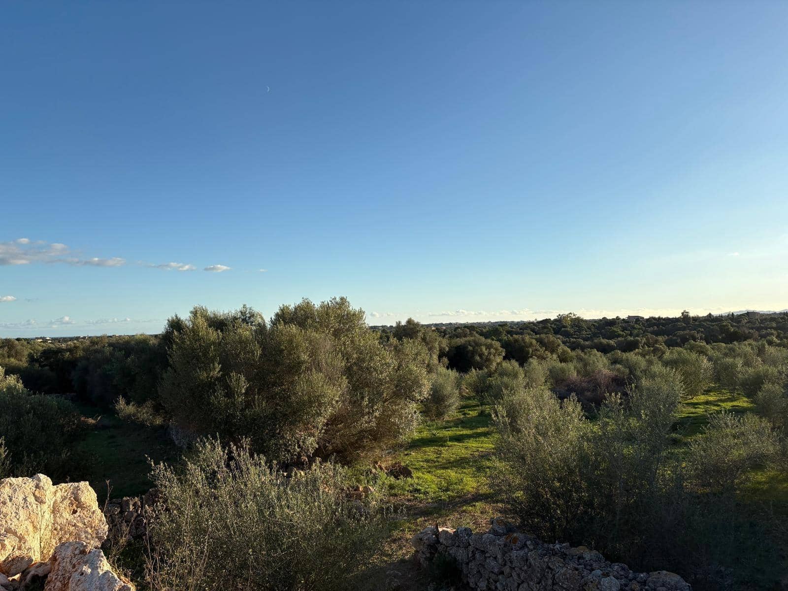 Mark till salu i Sant Llorenc des Cardassar - 875 000 € (Ref: 10013402)