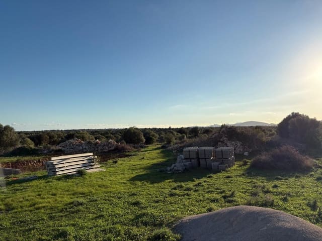 Mark till salu i Sant Llorenç des Cardassar - 875 000 € (Ref: 10013402)