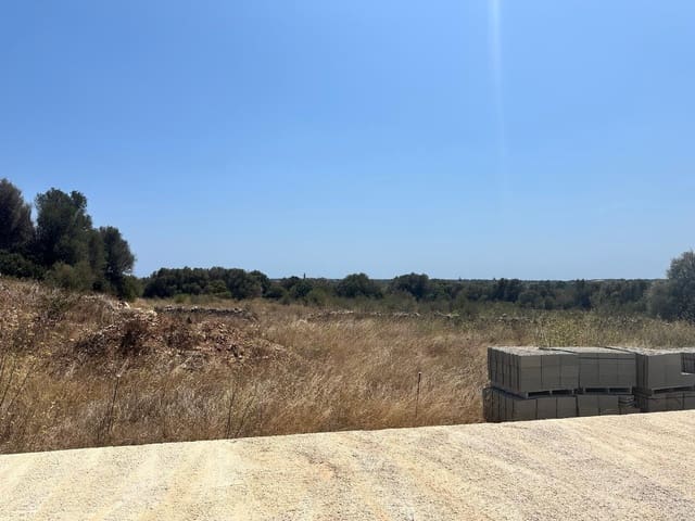 Mark till salu i Sant Llorenç des Cardassar - 875 000 € (Ref: 10013402)