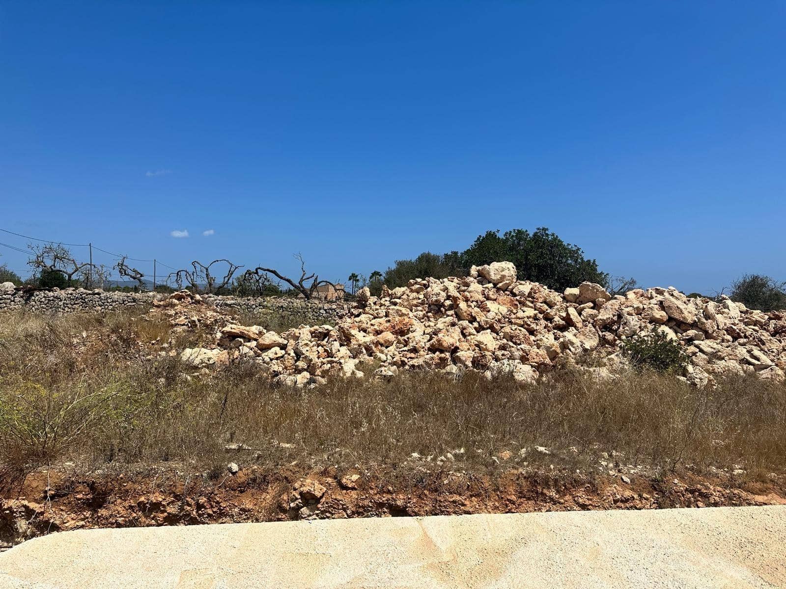 Mark till salu i Sant Llorenc des Cardassar - 875 000 € (Ref: 10013402)