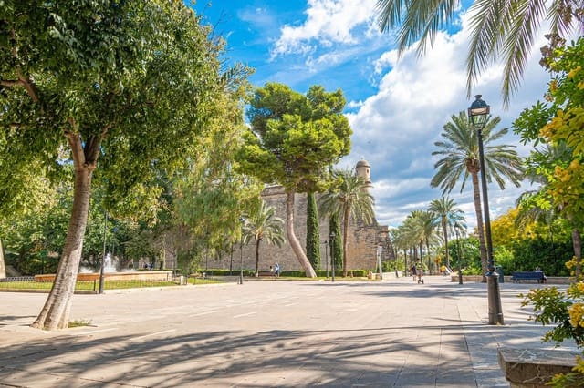 Kommersiell til leie i Santa Catalina, Palma de Mallorca - € 1 700 (Ref: 10166746)