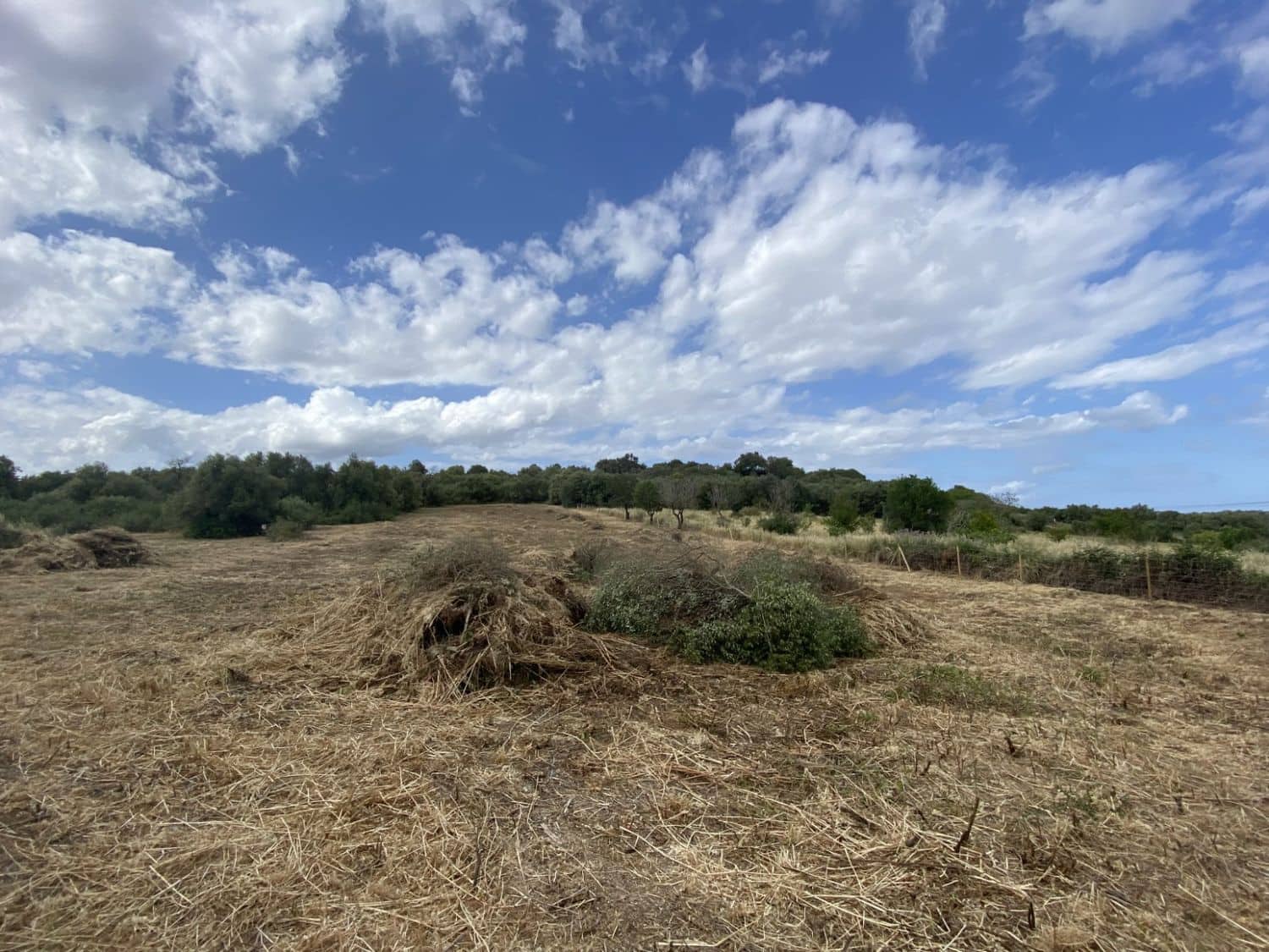 Grunde uden byggetilladelser til salg i Muro - € 269.000 (Ref: 8458612)