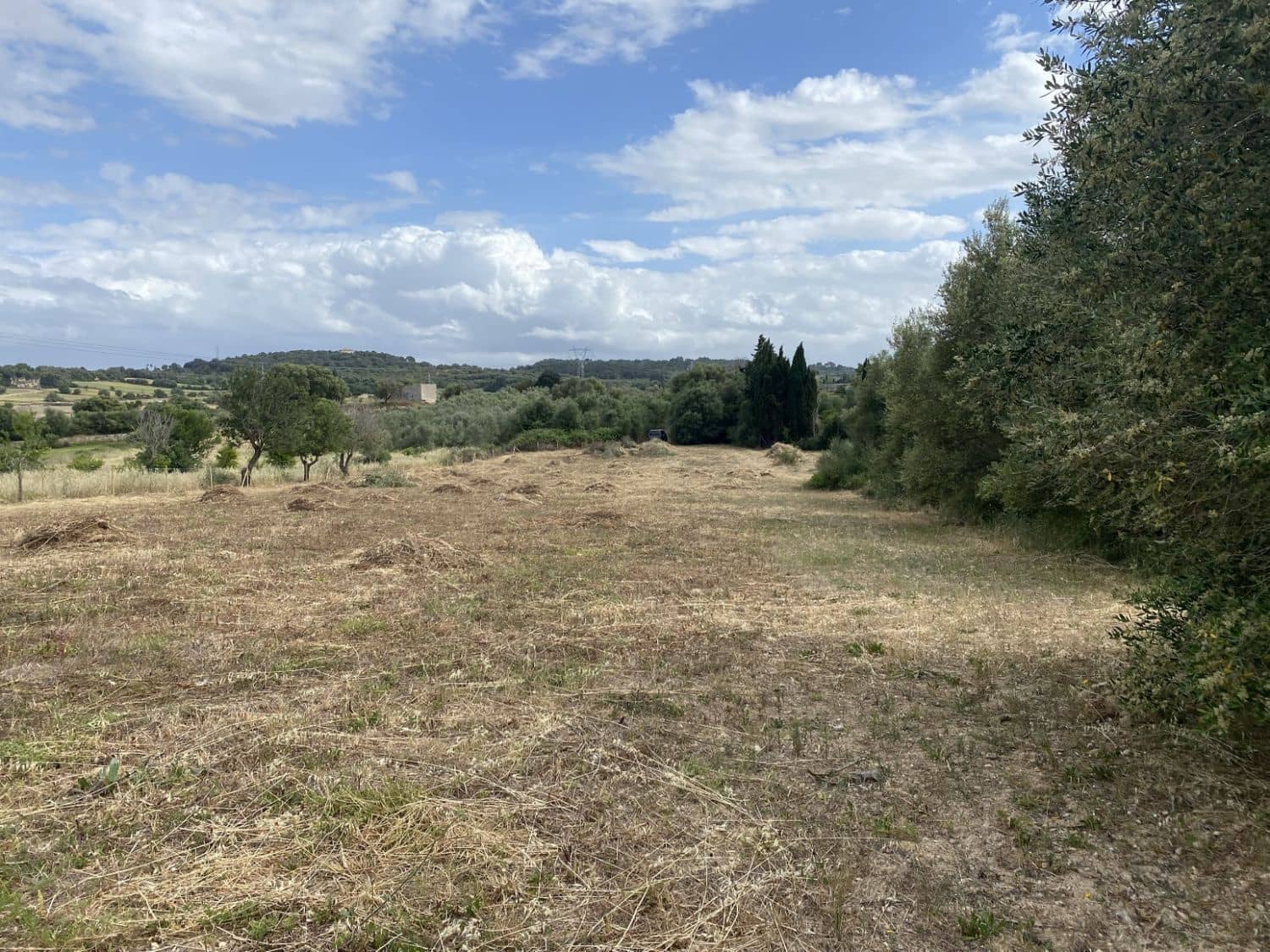 Grunde uden byggetilladelser til salg i Muro - € 269.000 (Ref: 8458612)