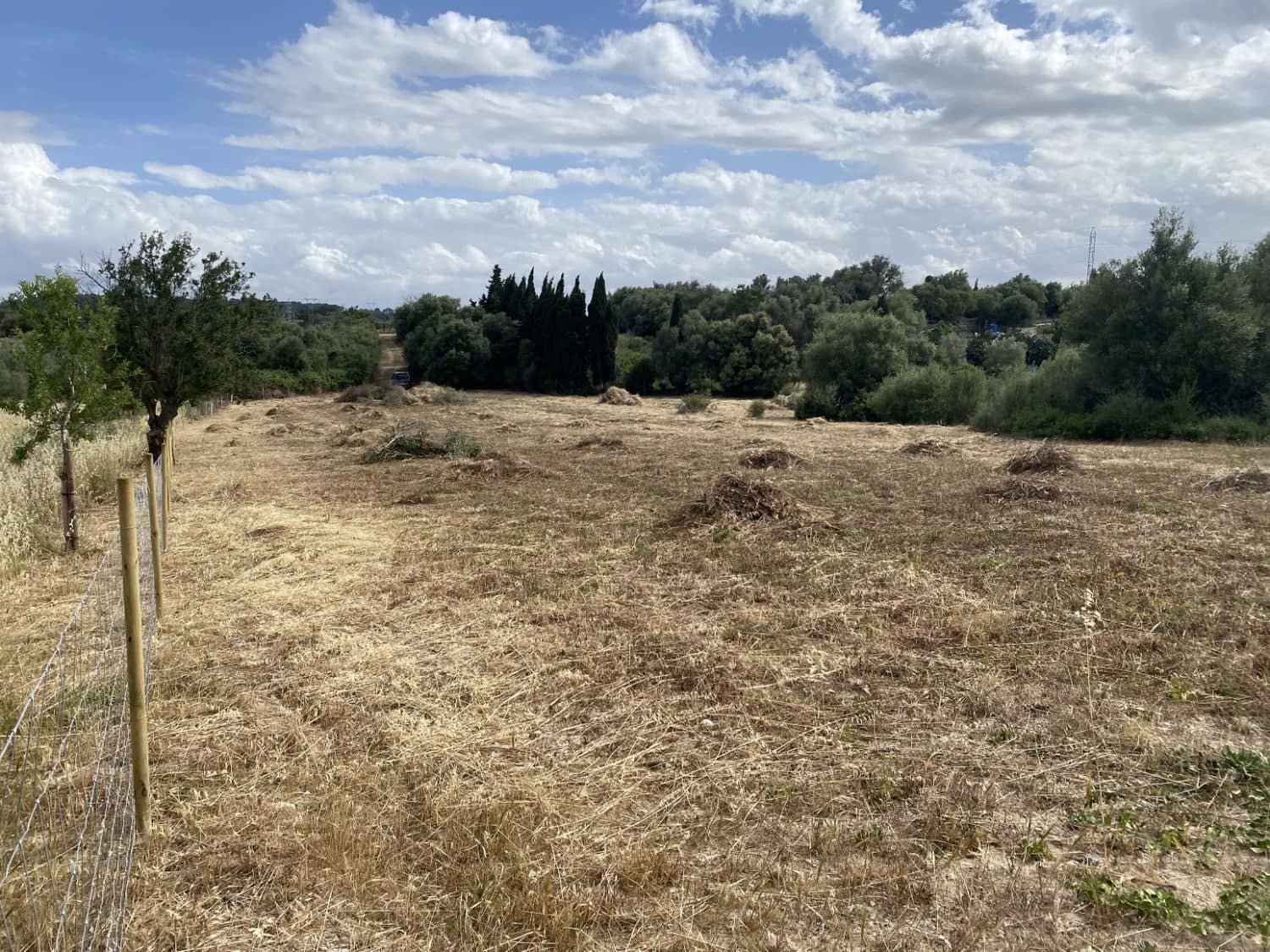 Grunde uden byggetilladelser til salg i Muro - € 269.000 (Ref: 8458612)