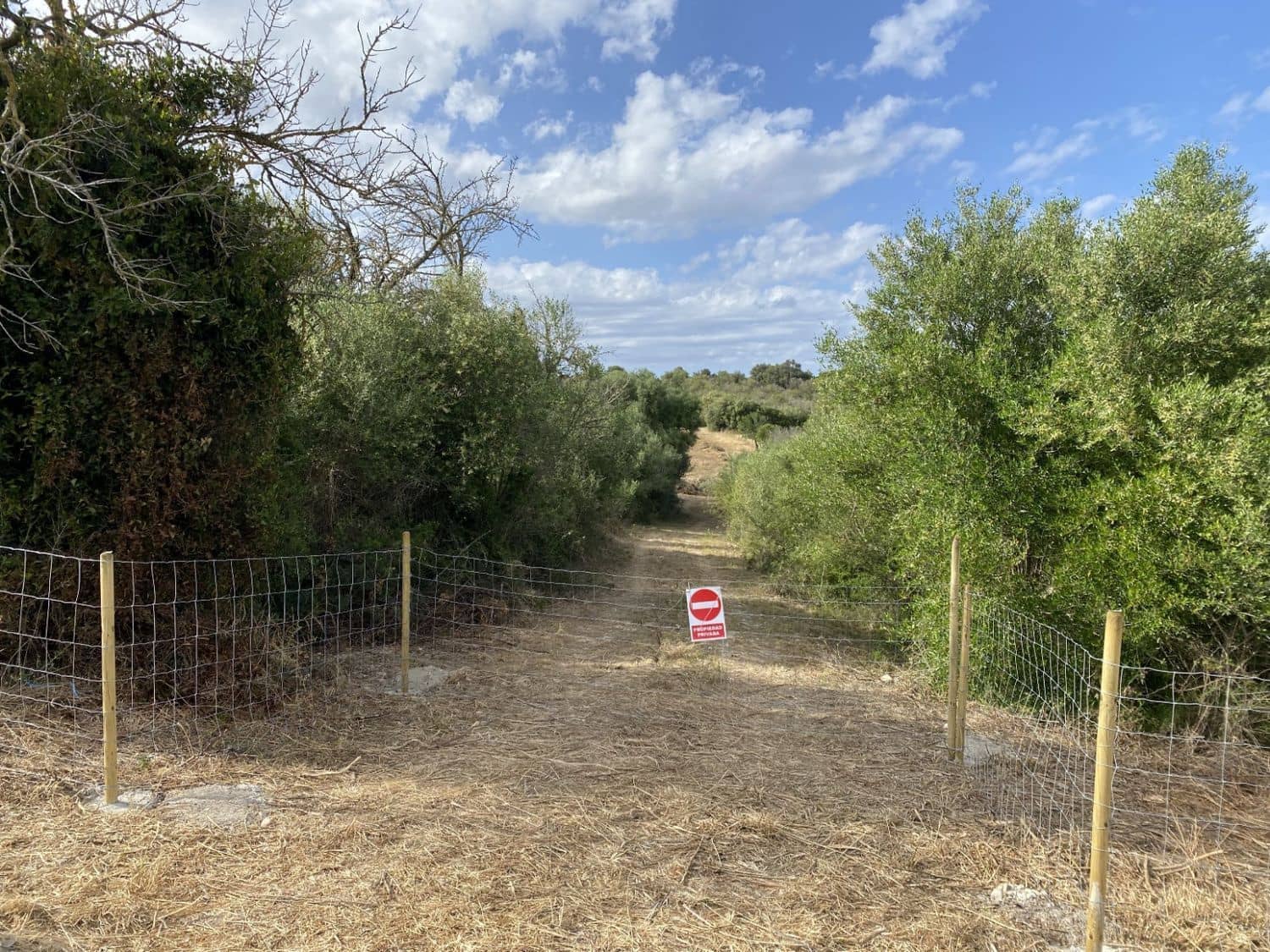 Grunde uden byggetilladelser til salg i Muro - € 269.000 (Ref: 8458612)