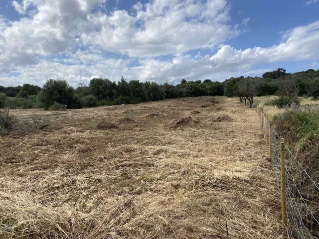 Undeveloped Land for sale in Muro - € 269,000 (Ref: 8458612)