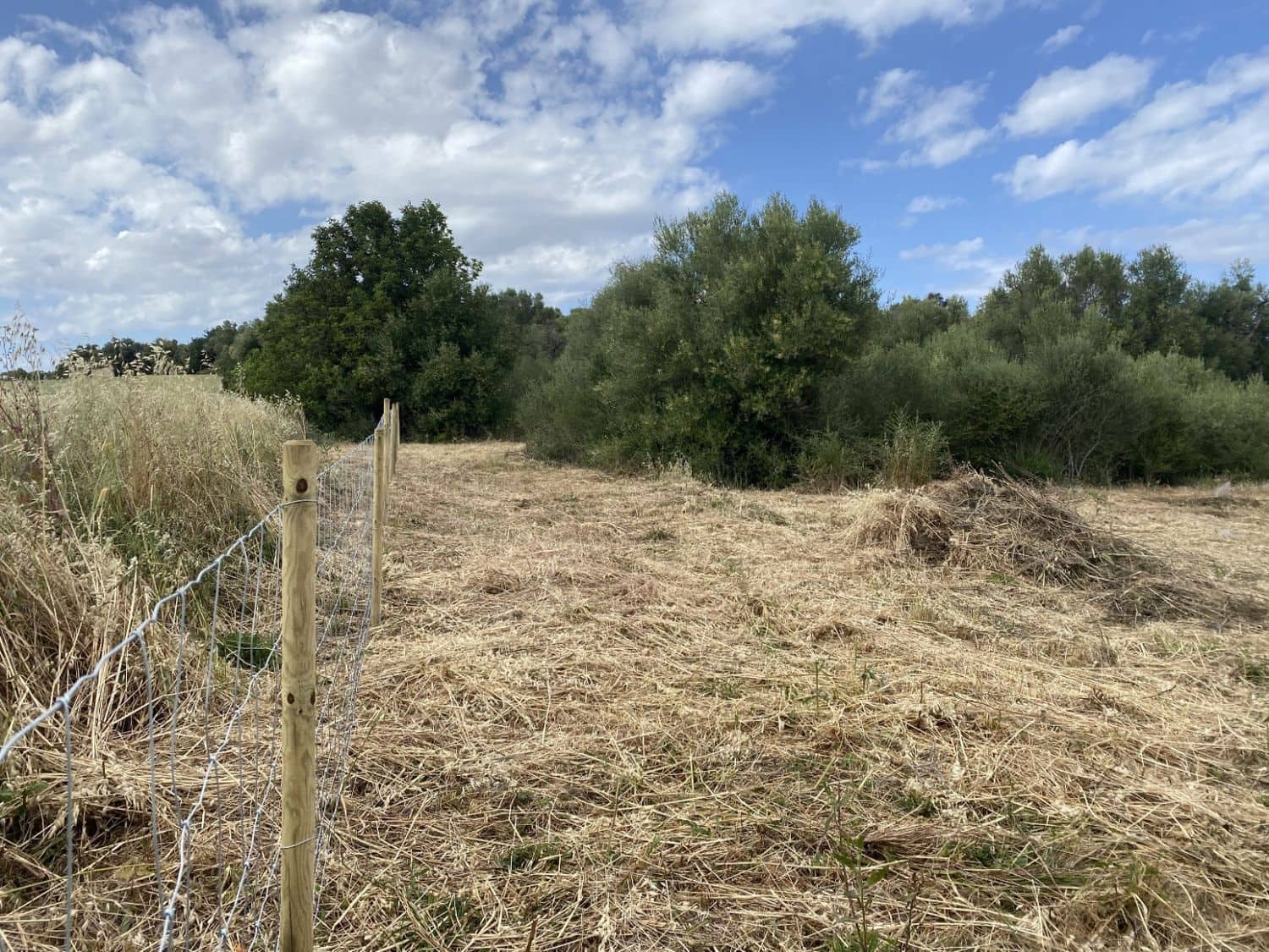 Grunde uden byggetilladelser til salg i Muro - € 269.000 (Ref: 8458612)