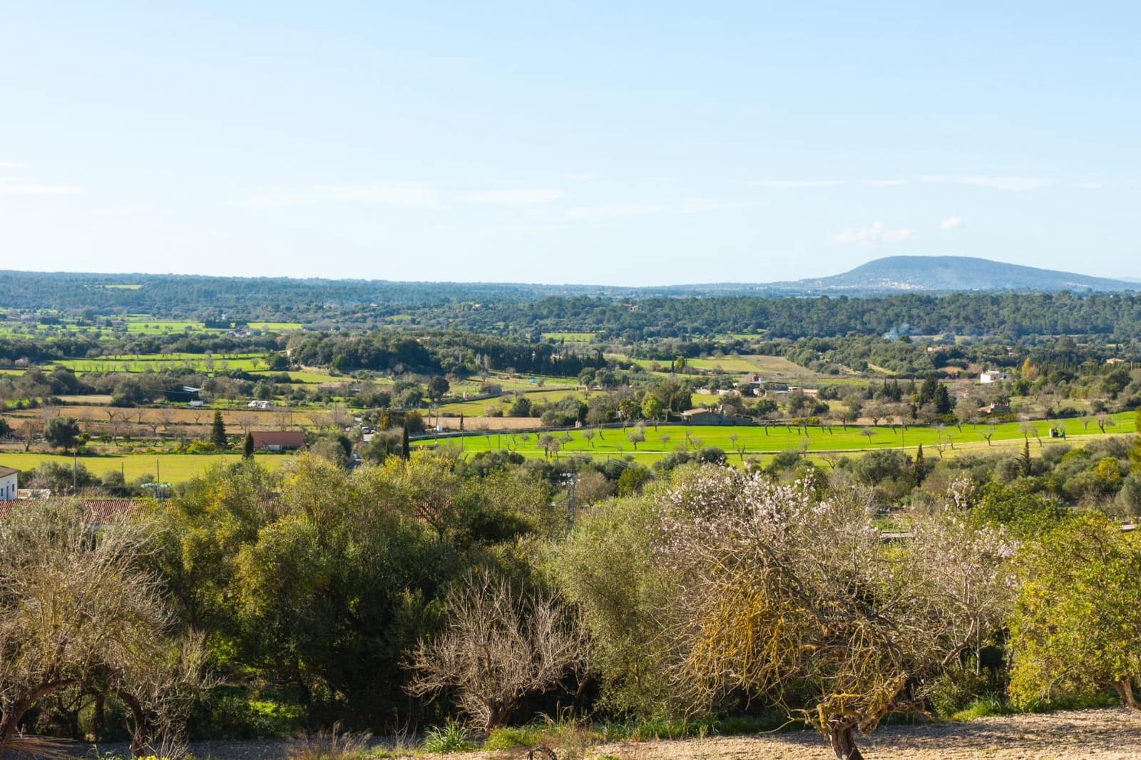 Byggegrund til salg i Costitx - € 620.000 (Ref: 8529643)