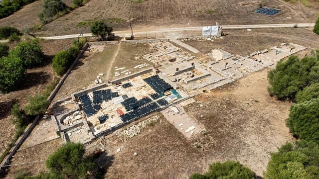 Undeveloped Land for sale in Manacor - € 1,200,000 (Ref: 8792779)