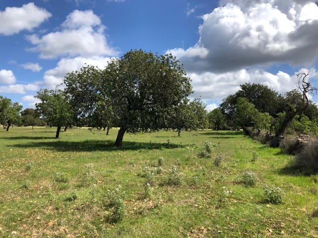 Building Plot for sale in Felanitx - € 450,000 (Ref: 8857645)