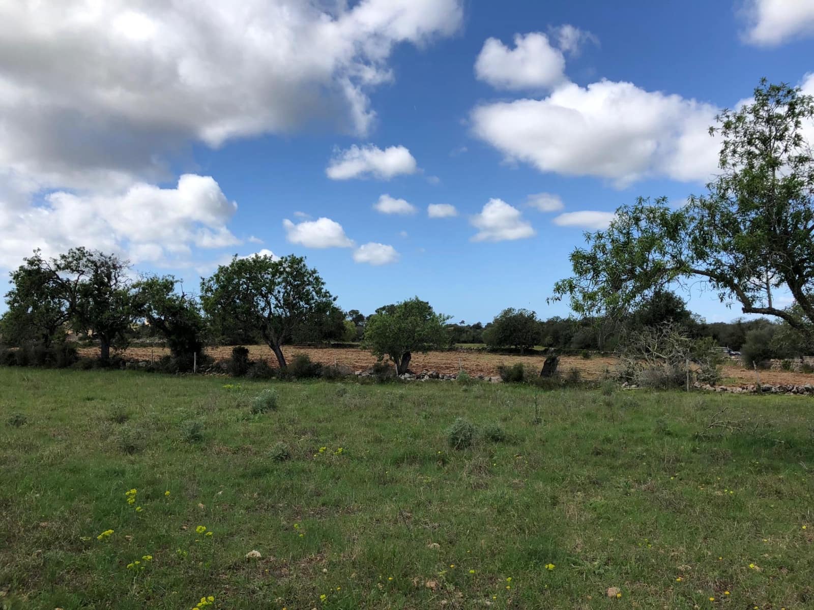 Byggegrund til salg i Felanitx - € 450.000 (Ref: 8857645)