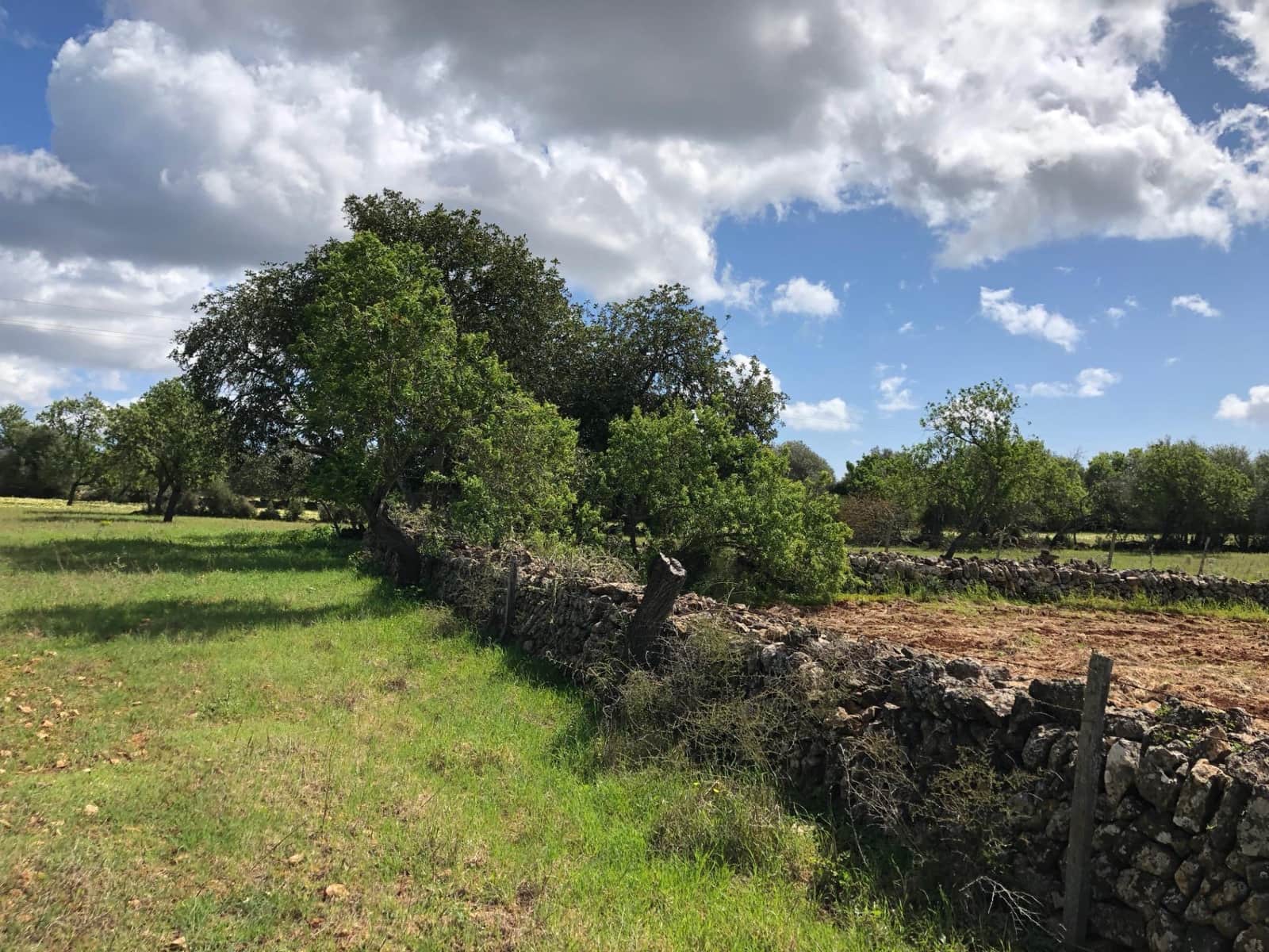 Byggegrund til salg i Felanitx - € 450.000 (Ref: 8857645)