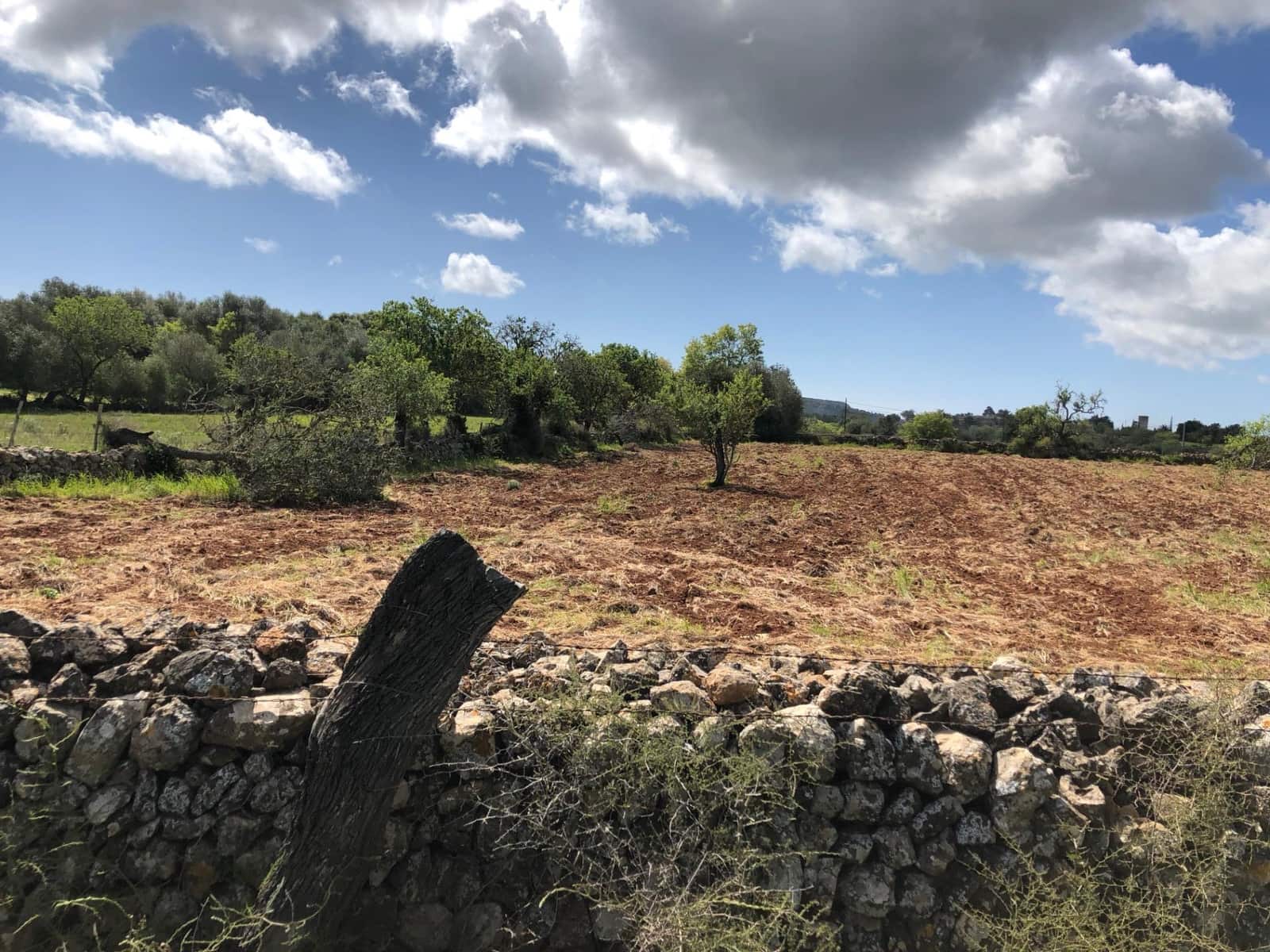 Byggegrund til salg i Felanitx - € 450.000 (Ref: 8857645)