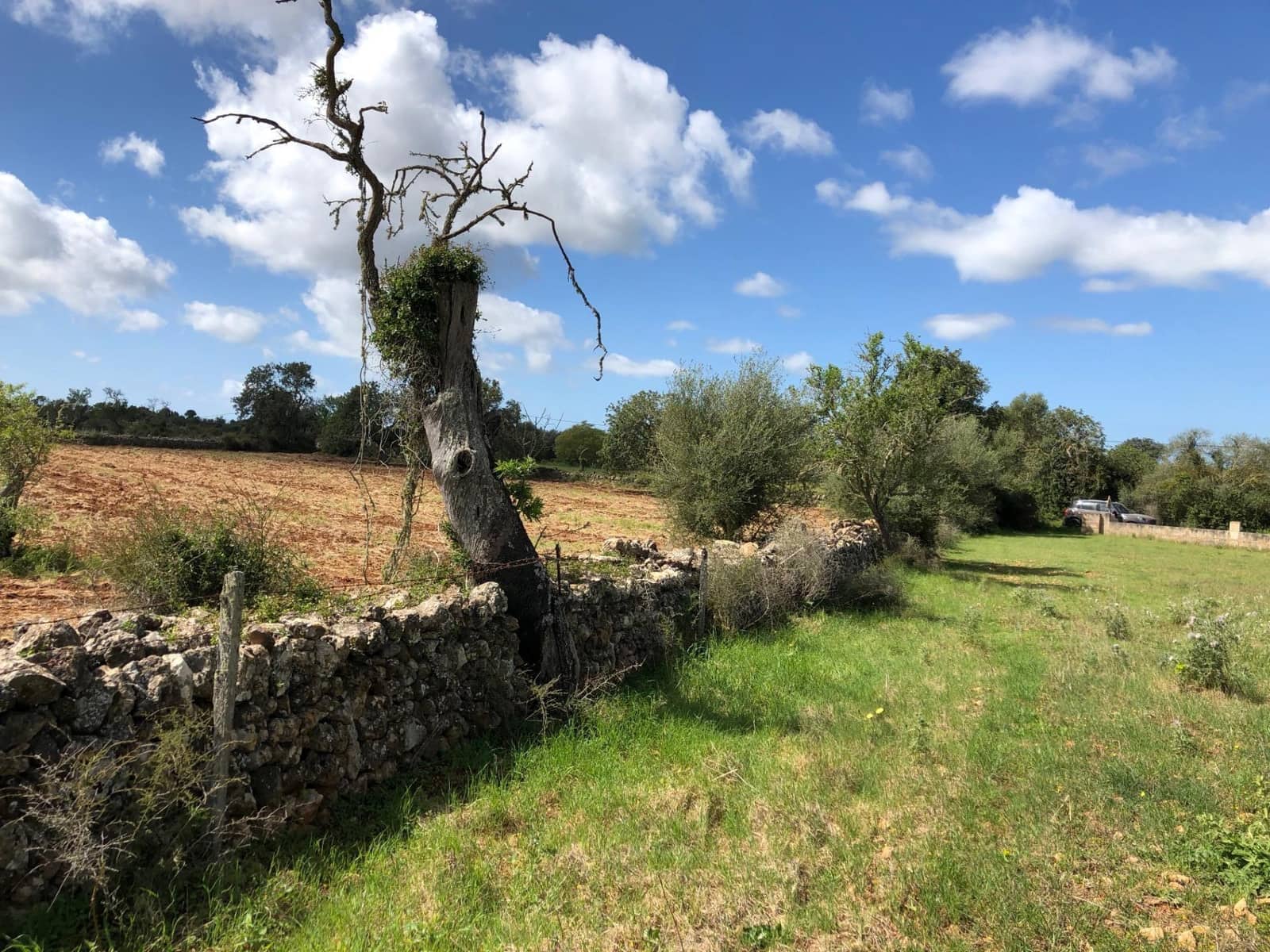 Byggegrund til salg i Felanitx - € 450.000 (Ref: 8857645)