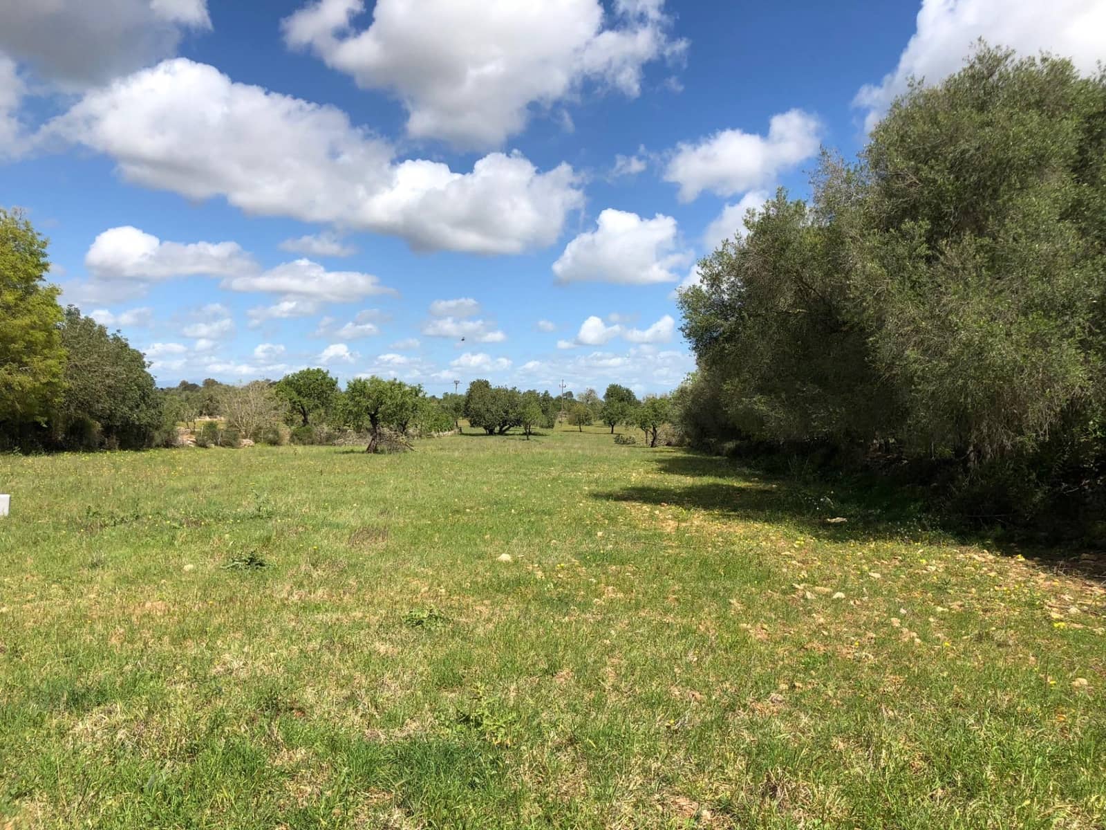 Byggegrund til salg i Felanitx - € 450.000 (Ref: 8857645)