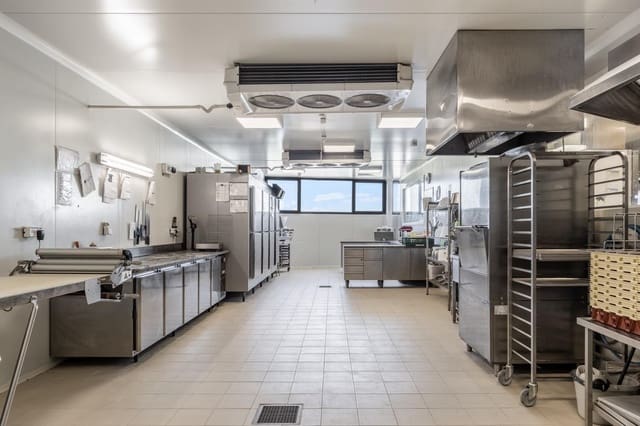 Business for sale in Son Ferriol, Palma de Mallorca - € 1,100,000 (Ref: 9062393)