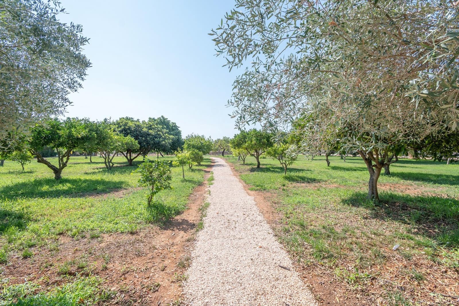 8 soveværelse Finca/Landehus til salg i Binissalem med swimmingpool - € 3.900.000 (Ref: 9152209)