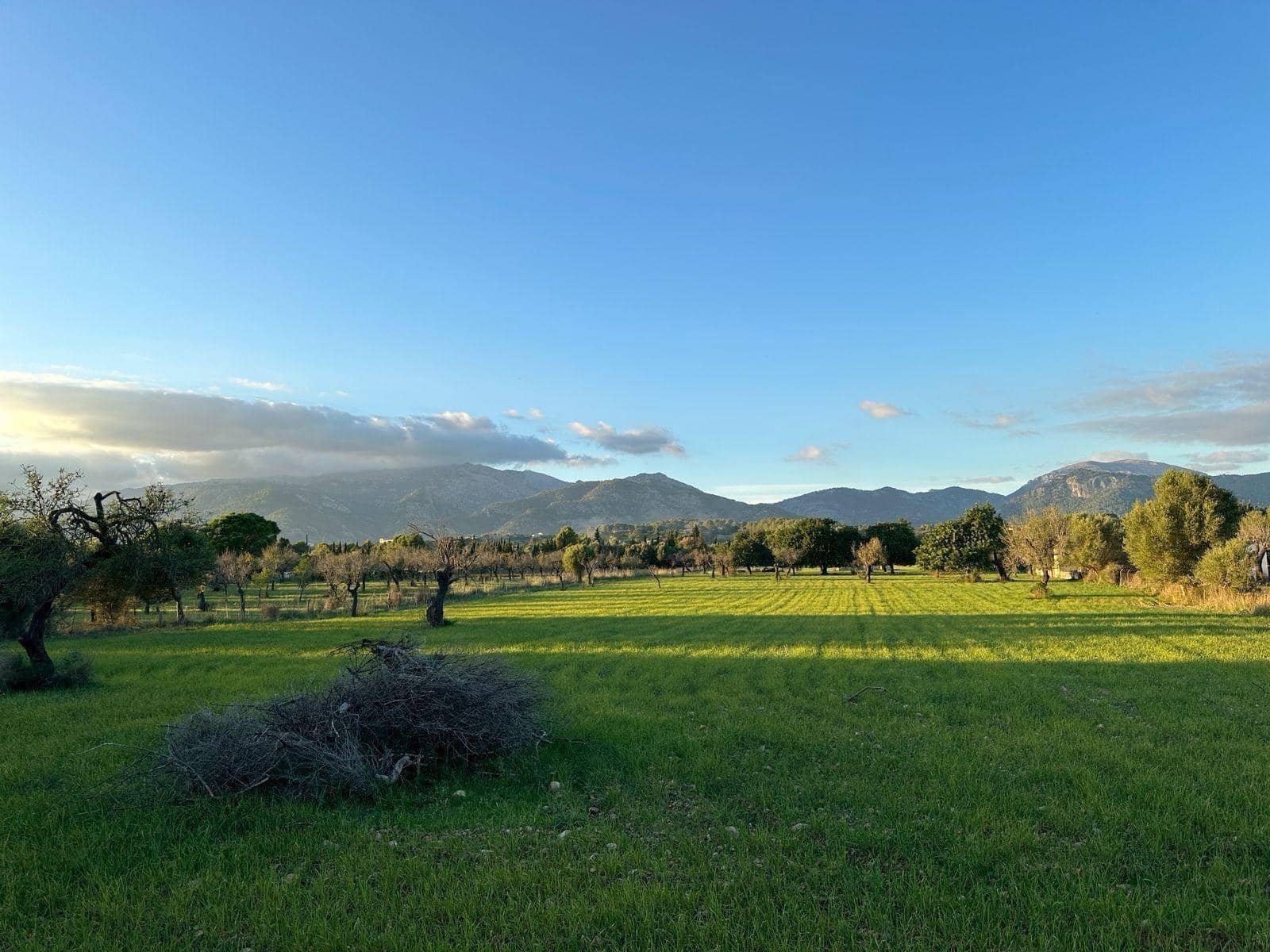 Byggegrund til salg i Selva - € 550.000 (Ref: 9233013)