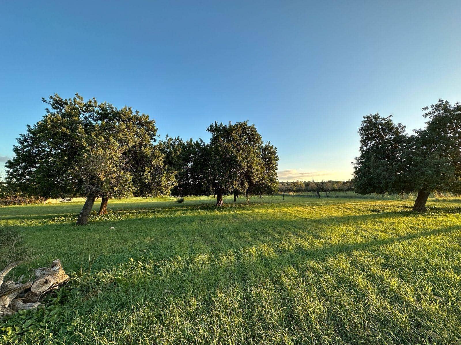 Solar/Parcela en Selva en venta - 495.000 € (Ref: 9233013)