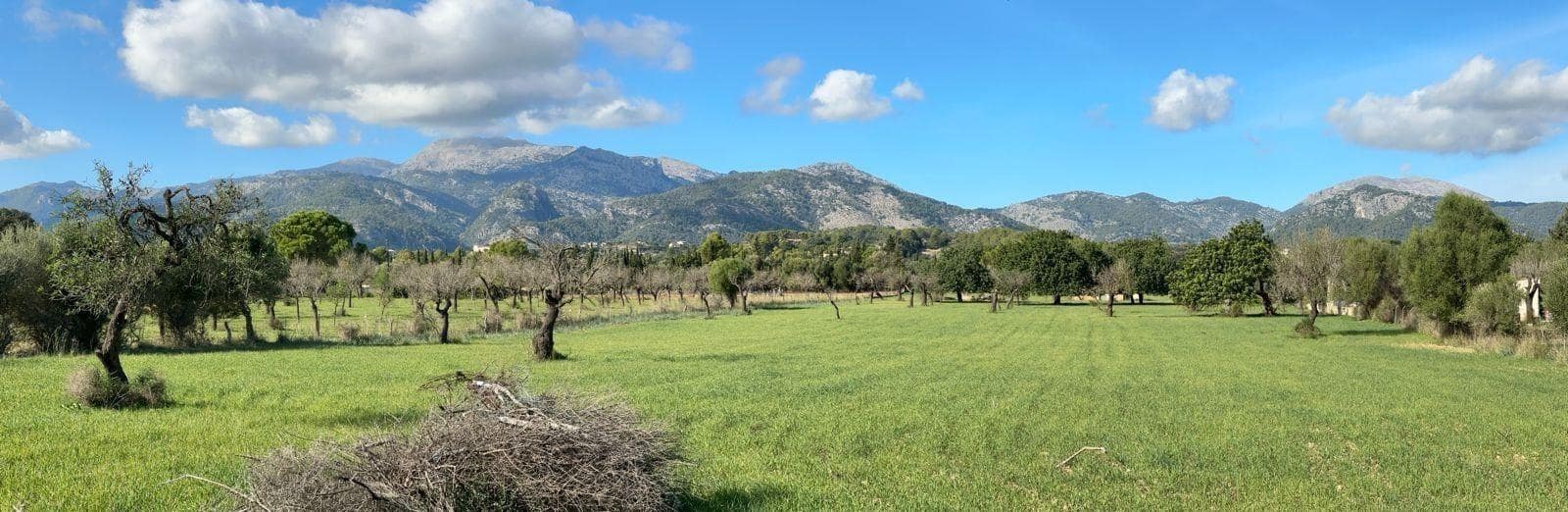 Building Plot for sale in Selva - € 469,000 (Ref: 9233013)