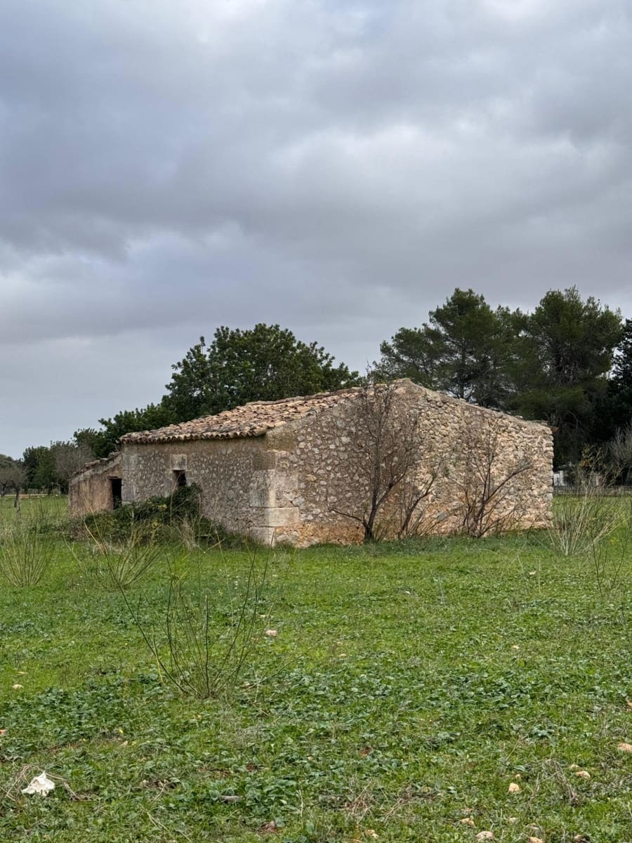 Building Plot for sale in Selva - € 469,000 (Ref: 9233013)