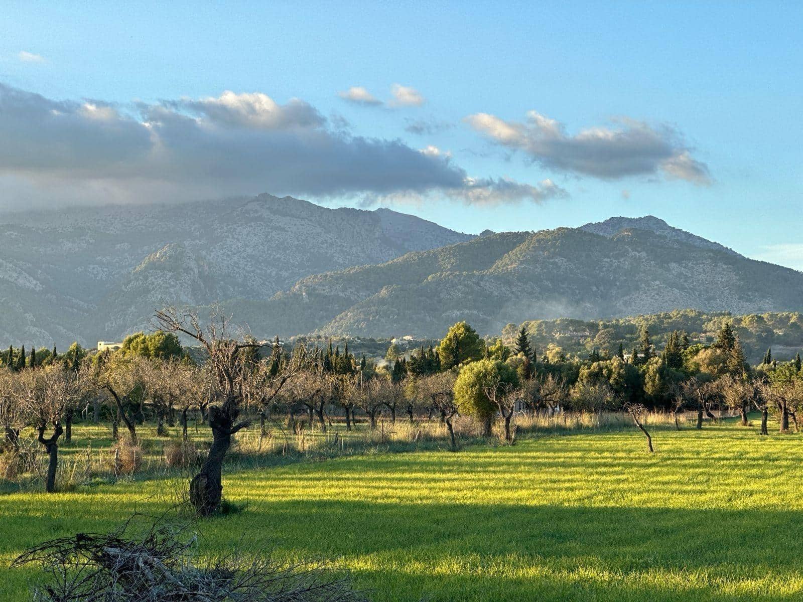 Building Plot for sale in Selva - € 469,000 (Ref: 9233013)
