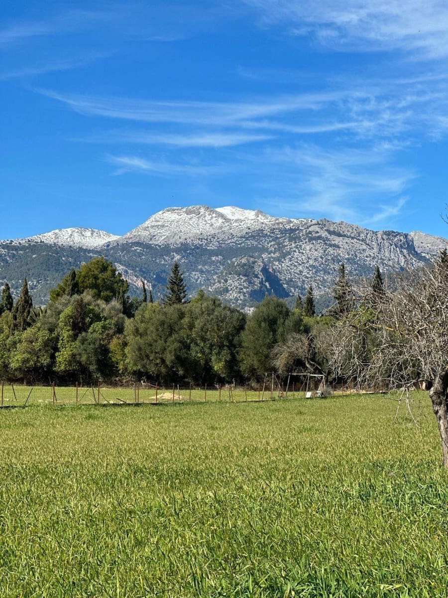 Building Plot for sale in Selva - € 469,000 (Ref: 9233013)