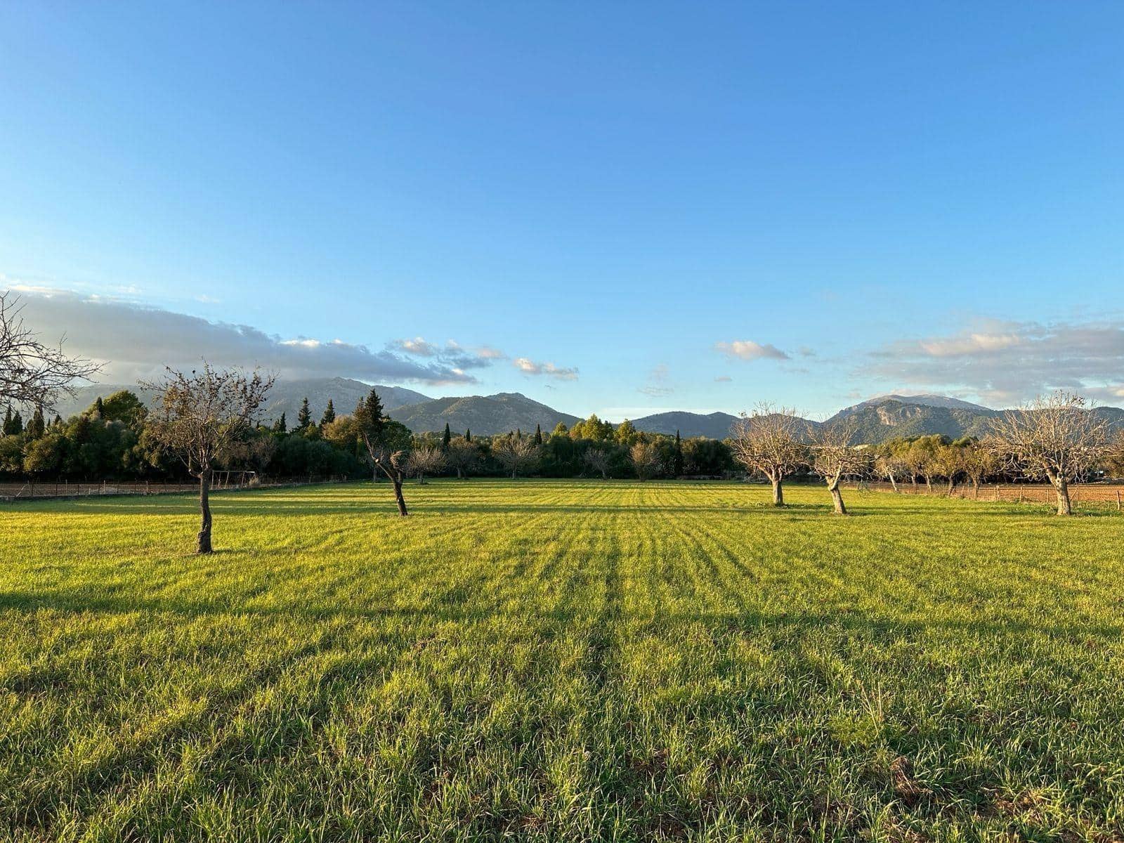 Building Plot for sale in Selva - € 469,000 (Ref: 9233013)