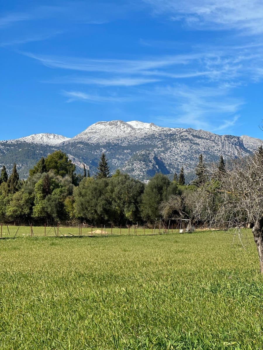 Building Plot for sale in Selva - € 469,000 (Ref: 9233013)