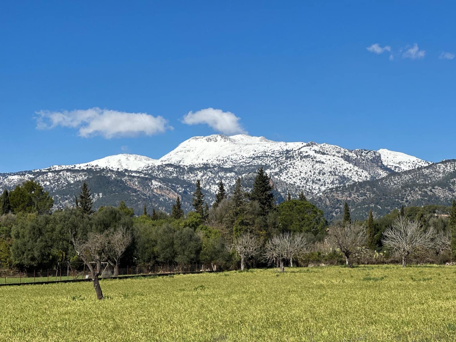 Building Plot for sale in Selva - € 469,000 (Ref: 9233013)