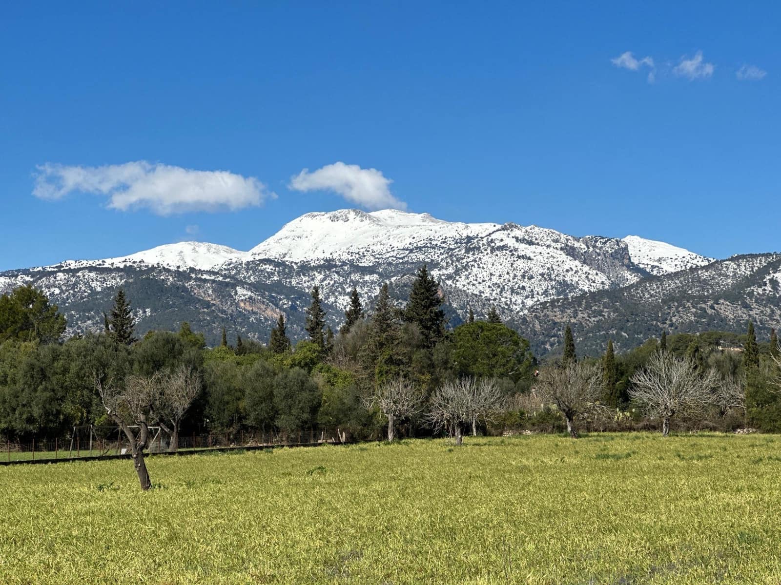 Building Plot for sale in Selva - € 469,000 (Ref: 9233013)