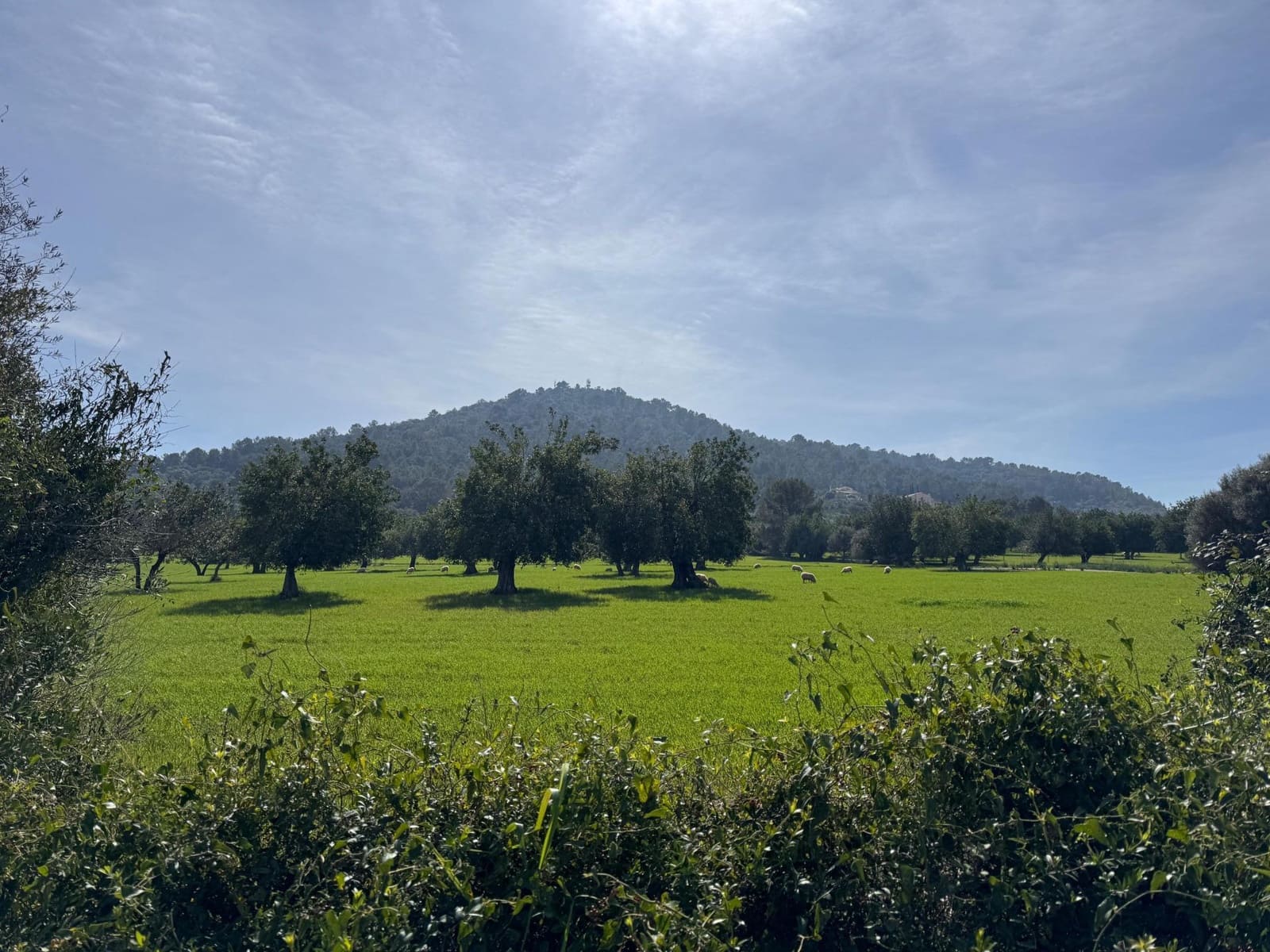 Building Plot for sale in Selva - € 469,000 (Ref: 9233013)