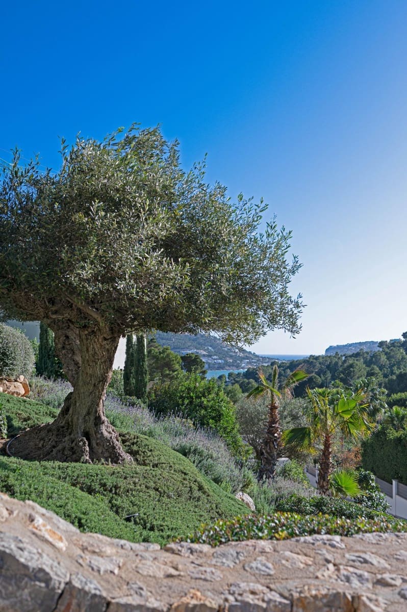 5 bedroom Villa for sale in Puerto de Andratx with pool - € 6,950,000 (Ref: 9530882)